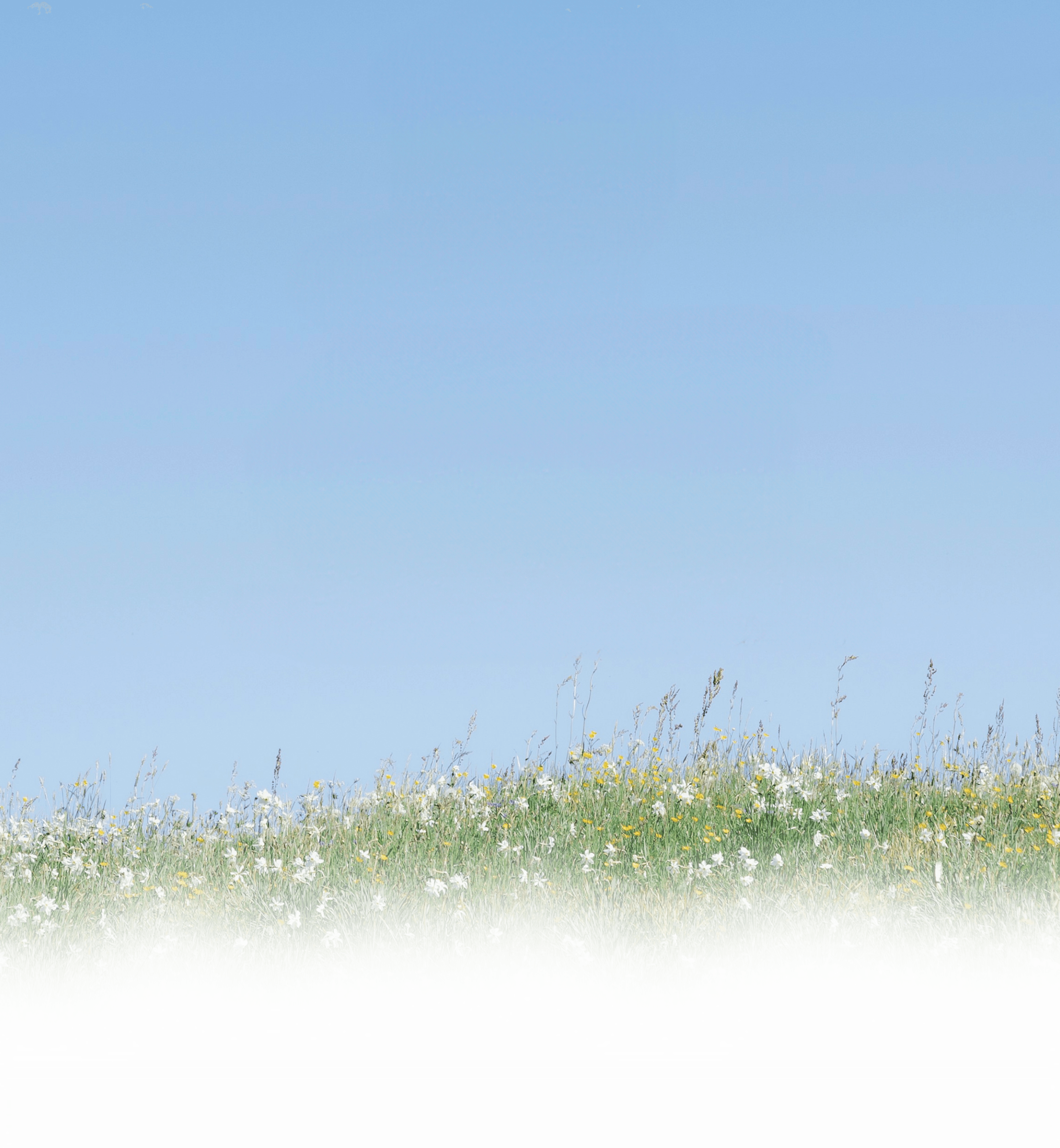 Hero background