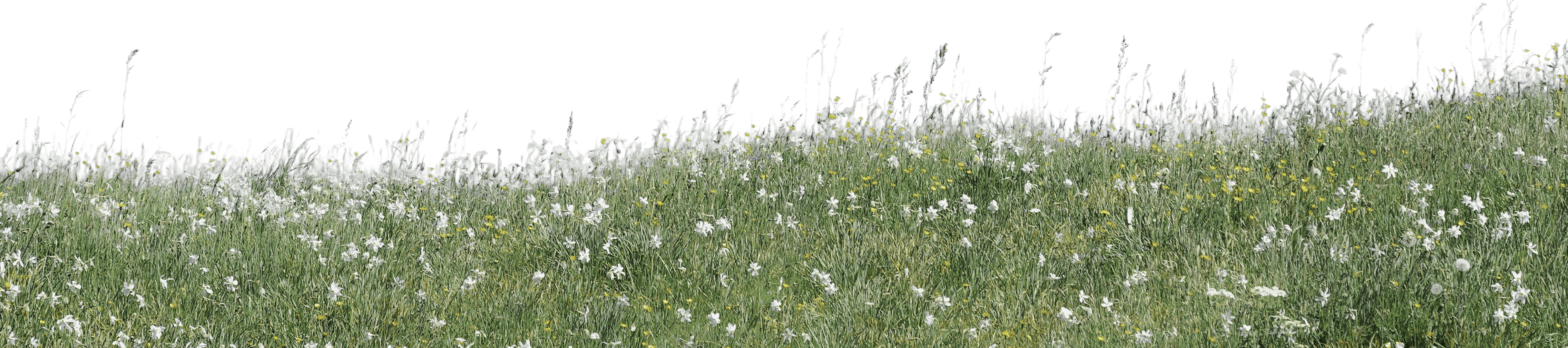 Footer landscape